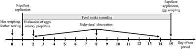 Effects of Dimethyl Anthranilate-Based Repellents on Behavior, Plumage Condition, Egg Quality, and Performance in Laying Hens